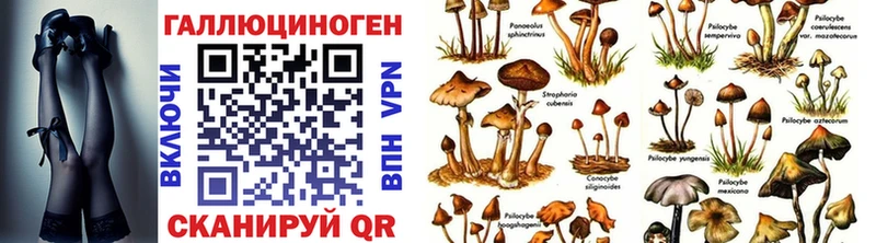 Галлюциногенные грибы Psilocybe Архангельск