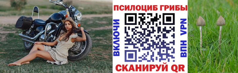 shop телеграм ОМГ ОМГ ссылки Архангельск Галлюциногенные грибы мицелий